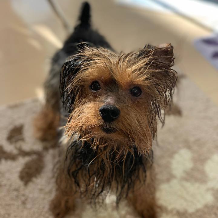 9ffd18e0 ee84 46bf 8cf1 ee36c59d2485 1548466832828