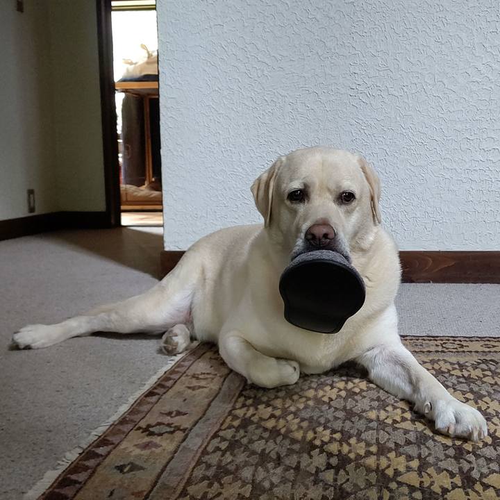 9ffd48cc d09f 4533 aa4e 428e7ca8e1ca 1660823365374