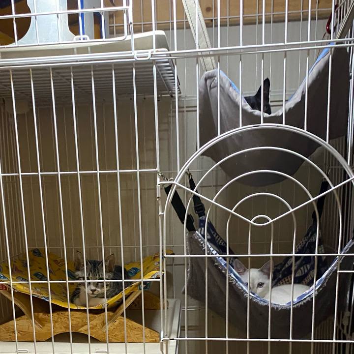 9ffd6188 6fcc 4ec6 bce4 dda2c9cfa117 1628945843441