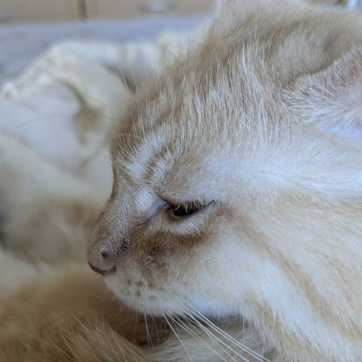 9ffd6431 6dd6 4489 b06a e8599ca610b7 1759883992728