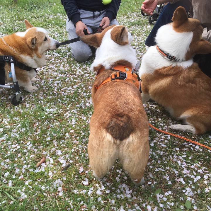 9ffdcf81 c7ba 45f3 a2e6 32fc38d53d96 1555230208339