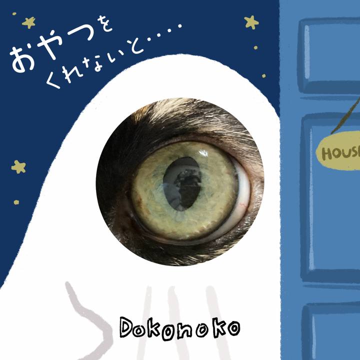 9ffddf9b c29e 4673 b999 70d9ea6fe556 1729422084104