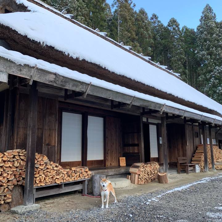 9ffdf14d 81f5 4515 97e8 03c1b8745172 1608539769585