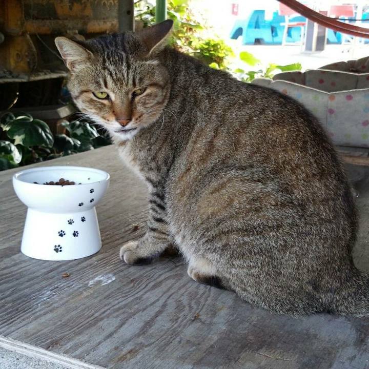 9ffdf4a1 8f93 4499 8ddf 92e9e6fd97da 1510632608723