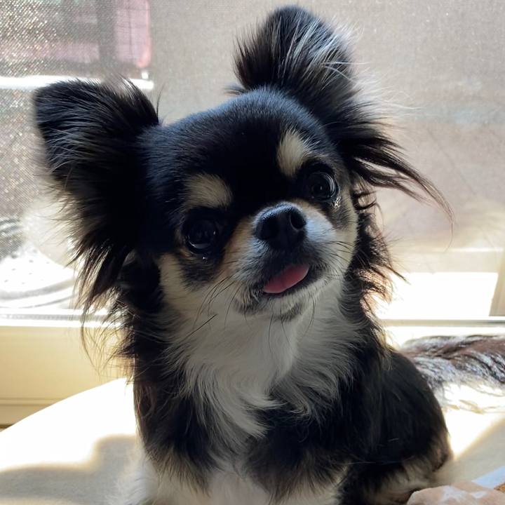 9ffdfb5a 9a74 45d1 89d4 ce8721b9b882 1615934703490