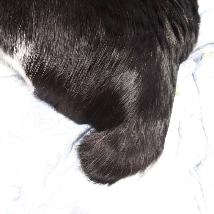 9ffe41f0 cfb5 4e9b 9116 d23283d55242 1554465800451