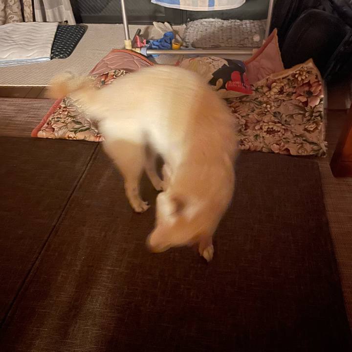 9ffe7d70 47b0 4080 853f 5baba60cdc0d 1659030907917