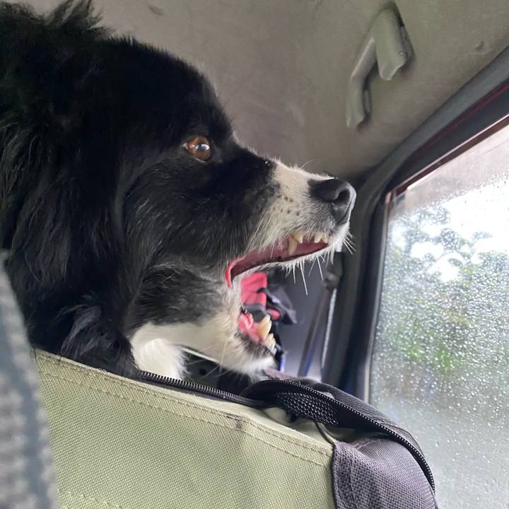 9ffe8021 4596 453d 88d6 84a27127d220 1621461834822