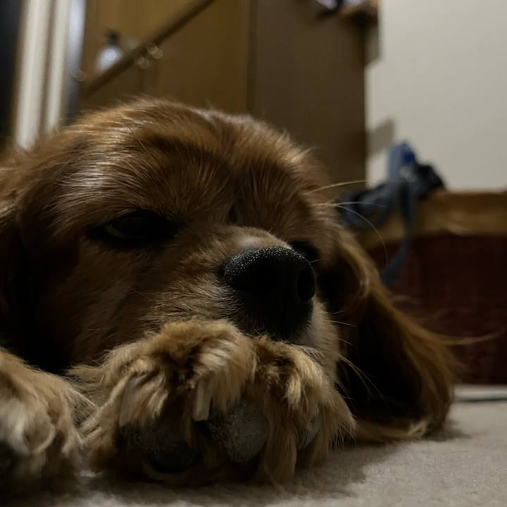 9ffe93d6 469f 4874 8e8f de995b39c1fb 1725111300335