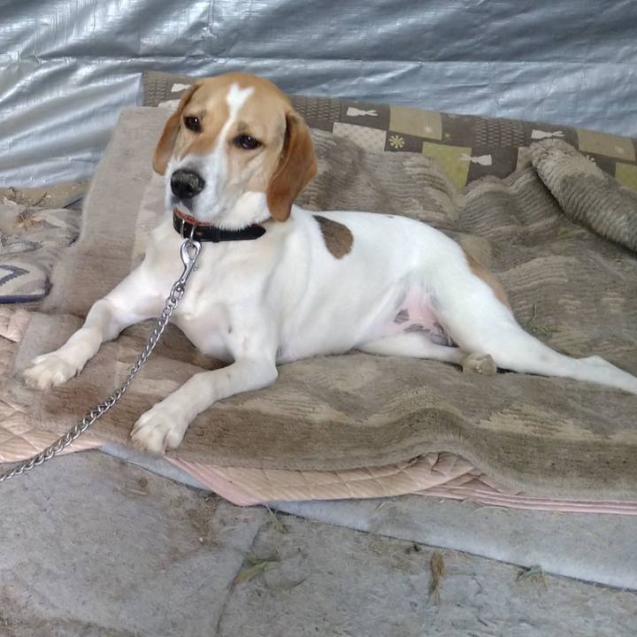 9ffed42e 5297 4f82 b15c c965040b4de6 1624247217126