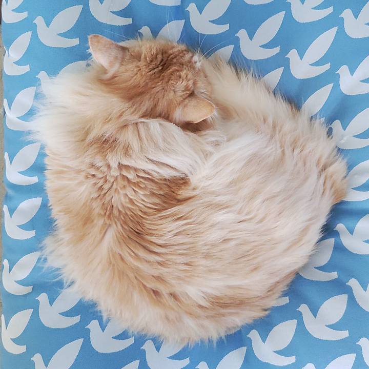 9ffedc22 0fd3 49fb adb5 a27ce8c705c0 1715311936923