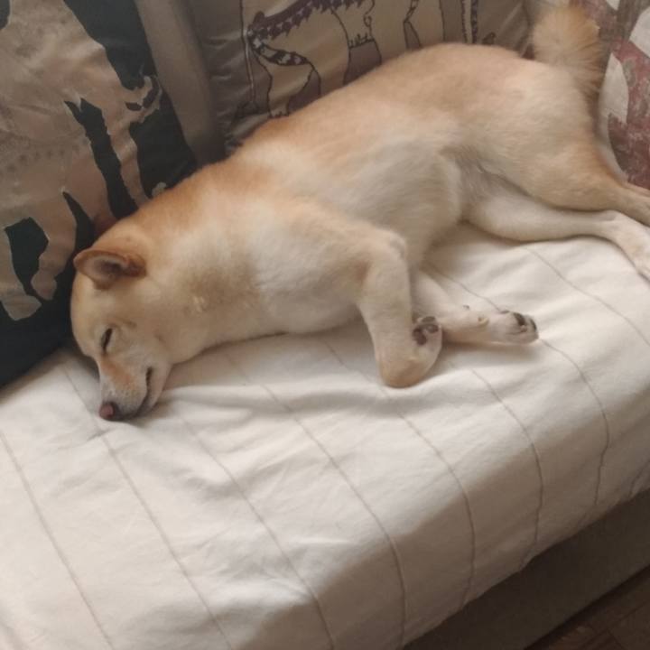 9ffede30 7696 4d73 ba87 13d6d85b34b5 1559817902209