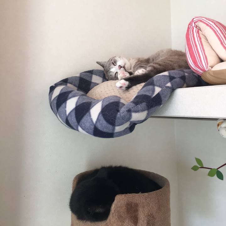 9fff0059 ac09 45a3 8529 82c9d0965135 1542764805943