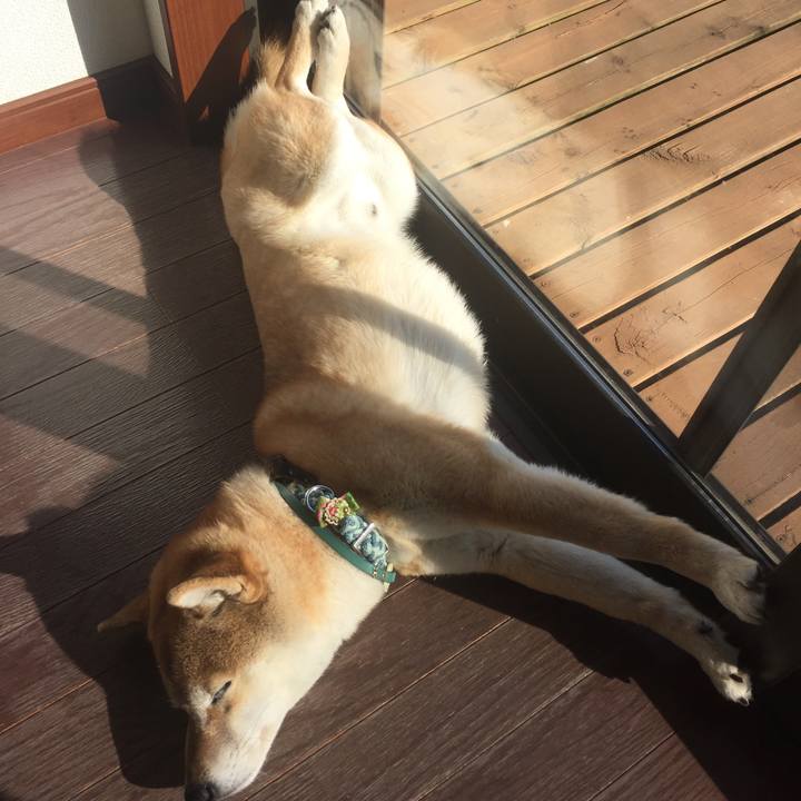 9fff08d1 92b9 4072 8f69 590e07d0dacf 1517274790943