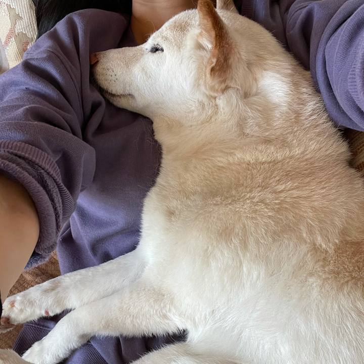 9fff12d7 0db7 4446 acc9 12dceac3002a 1640841266049