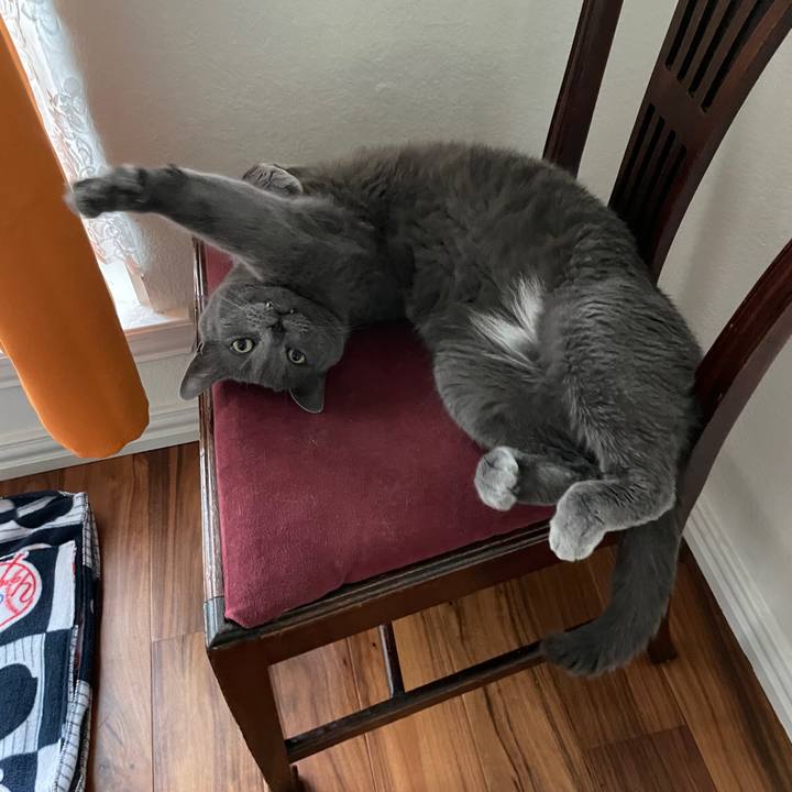 9fff5b44 7f50 4157 ab31 c2900227badd 1695254946241