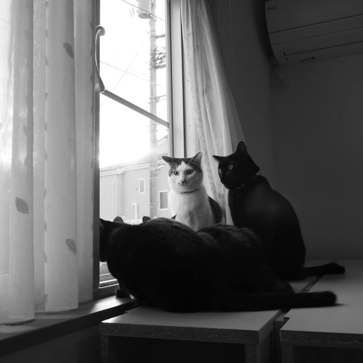 9fff8781 23f7 40d0 b1f7 994043cad312 1536623731351