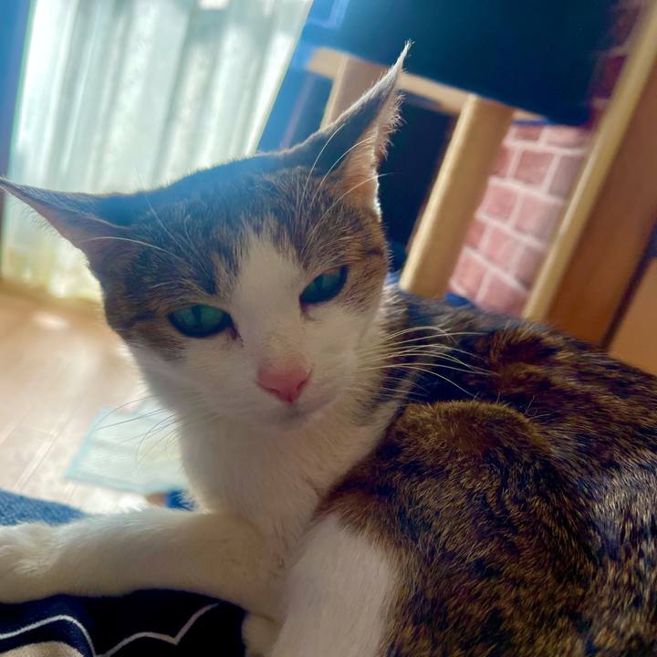 9fffb13a 7b9b 4643 a646 ee4b2abb3e3d 1636510236274