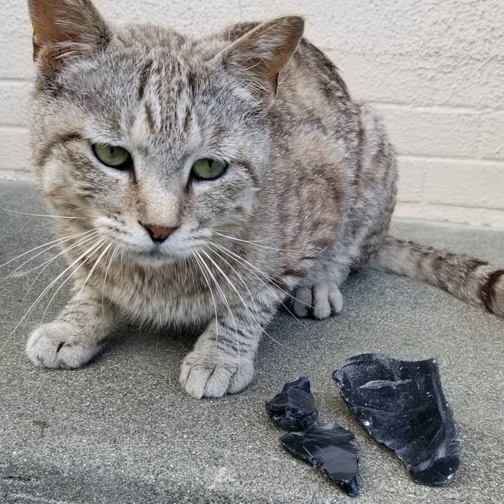 9fffdf07 a84b 426c 88b8 78d19d34fb5c 1689762895665