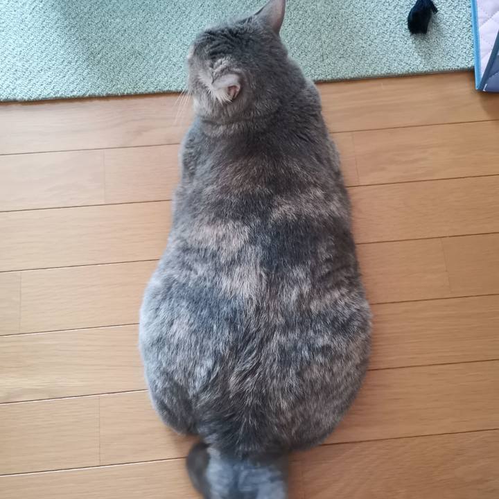 A000192b 16c4 4fed acb7 0e7964f0753a 1598082544089