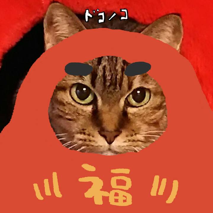 A0001b5d 86b9 42c1 b7c7 d174792af71e 1772104604612