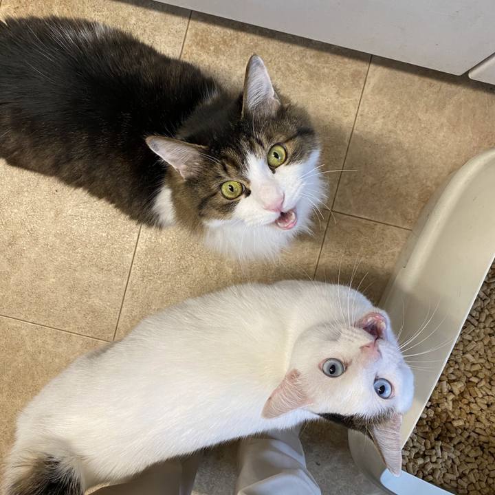 A00059e4 4e99 43a2 916e b97bde94114b 1696644177568