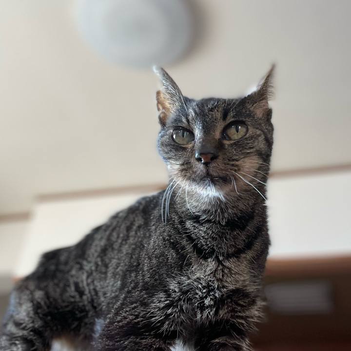 A0006893 cf53 4566 9a18 5e2b8580aa46 1768530125009