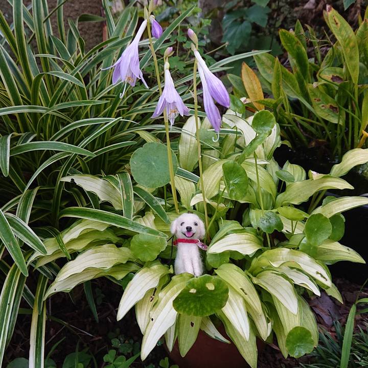 A00087c1 3b57 4e8f 8b08 272f2baea9a1 1658201082101