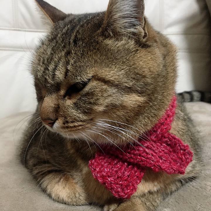 A00096a7 db2d 4361 8dfe f4f595ccf1d5 1637109389404