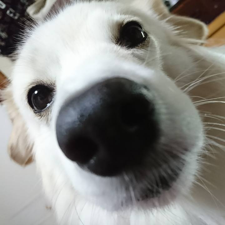 A000c8ba 9ad1 458b 8662 bb4d5d16abd8 1512853079404