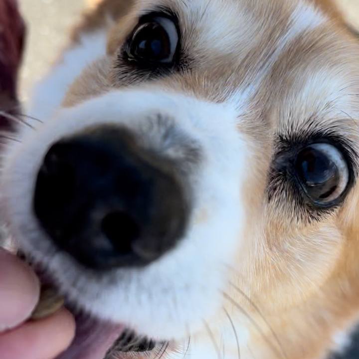 A001227f 9c31 463d 86f0 04dd232e7bd9 1772938109342