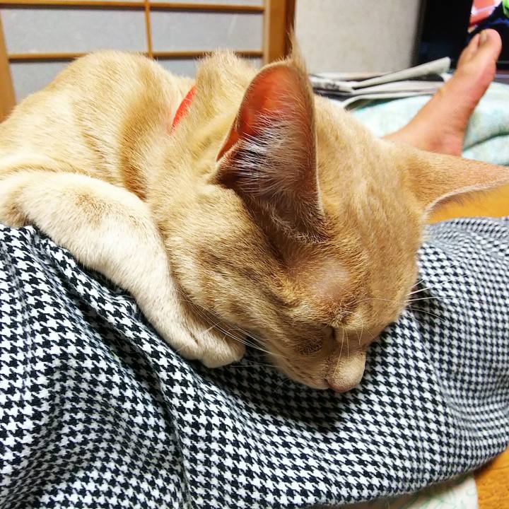 A0013667 4bee 4c0e 9fa6 60eeedbb2507 1554207655712