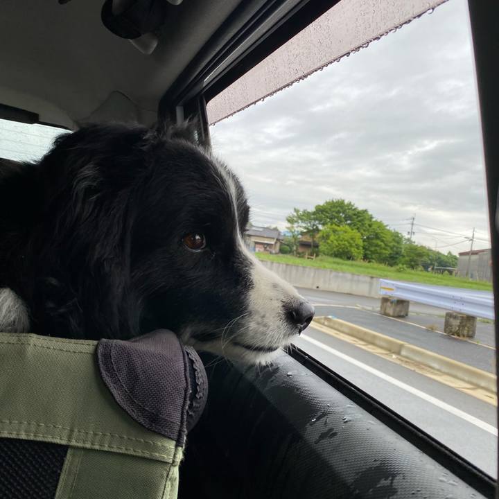 A00180d9 8456 48bc af30 f86c54d6883d 1652306812367