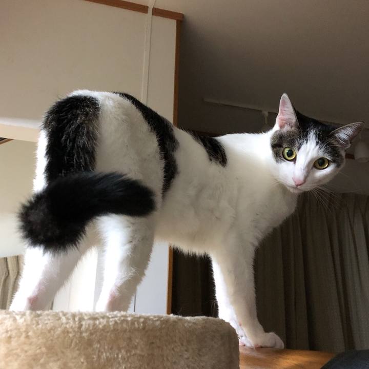 A0019c2d a8d8 40ff 9c8d 85e4a777810d 1601126802276