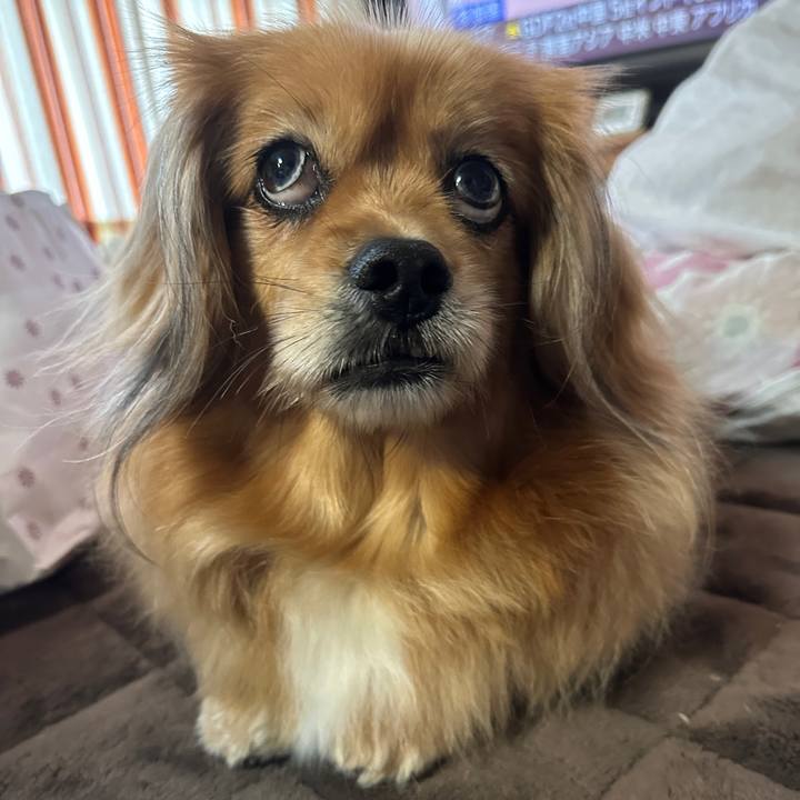 A001ea36 b17f 4970 b1ed e6e568ef7a60 1745442275208