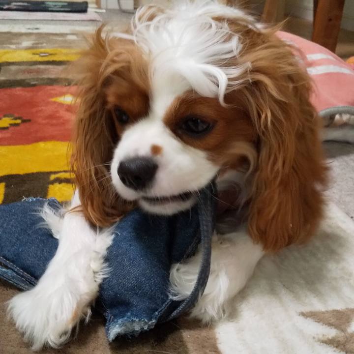 A0023d82 bcbf 4d5e aead b87bad1a3183 1581824894809