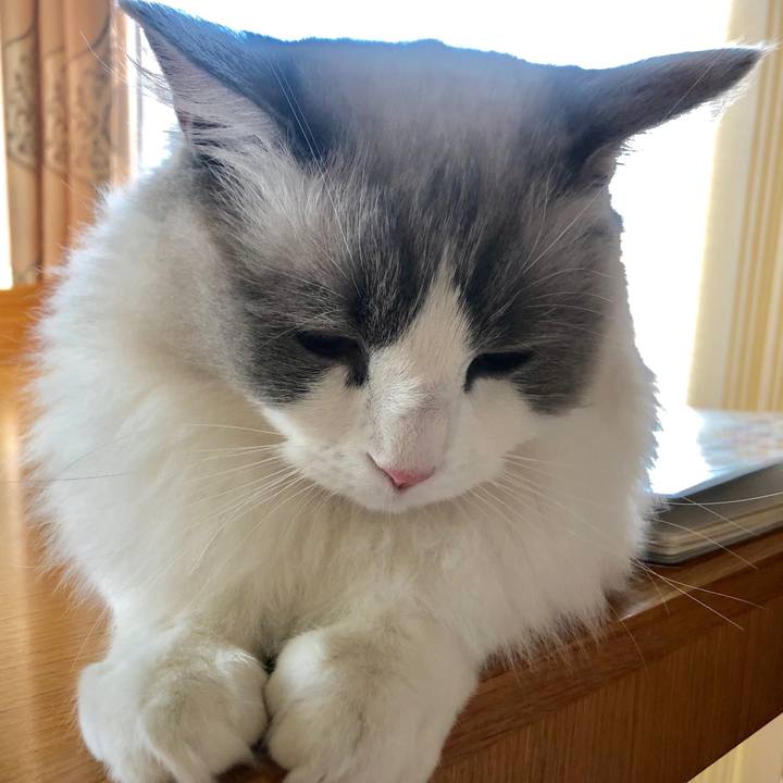 A002bcb6 12a5 4a0d ba4f 165bf1d4ea6d 1576635190432