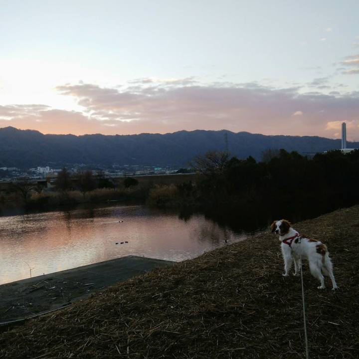 A002cd1c a32a 4fab 908b eba420bd573b 1547769719592