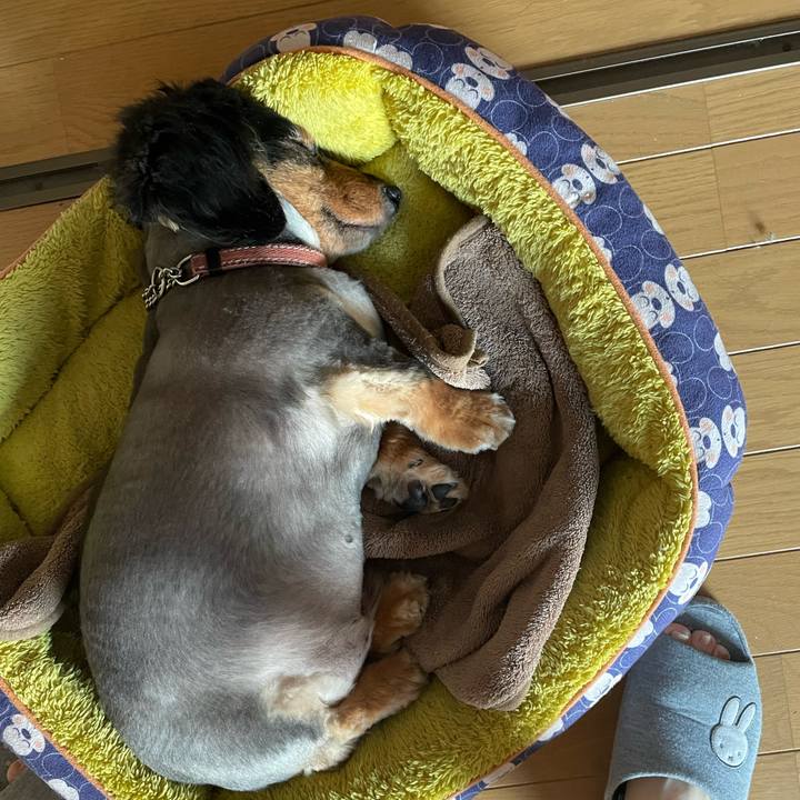 A002d20a 39f7 4a4f 8b9d 935e45f7c3d2 1655699415116