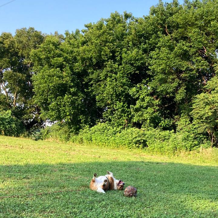 A002e947 566c 4c81 9994 010722ded2a4 1750216142287