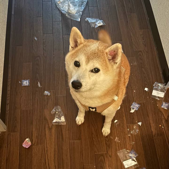 A002f0e9 321d 4811 89af 33580363f4e2 1741208464531