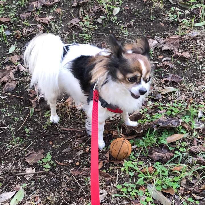 A00323e1 1317 4ccd 992a 01c1827062dd 1572571346138