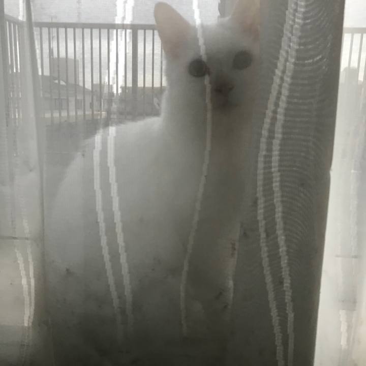 A0032c16 5faa 4066 a7b1 362da624af45 1520205164262