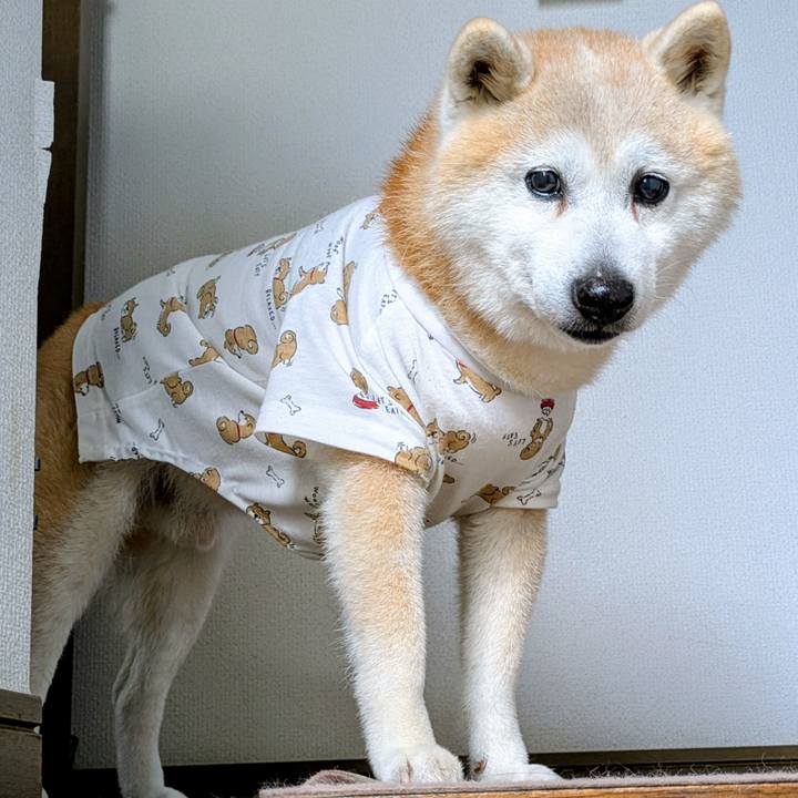 A00335b1 143a 417e 80b6 b3dc4a89b757 1775523648583