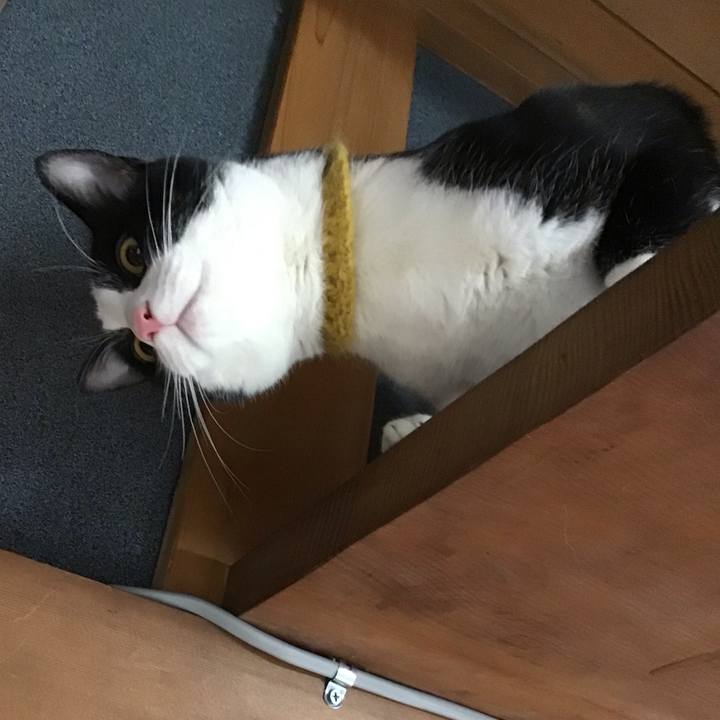 A0034068 6cd3 45b7 bd3b 6ceef463deff 1647578892714