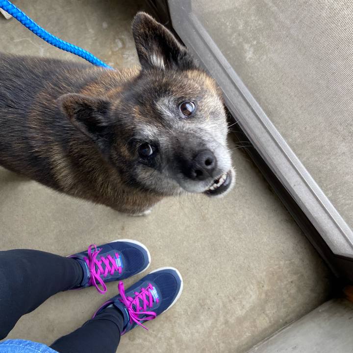 A00387dc 771d 40c8 9c94 bc09f010b085 1656410641370