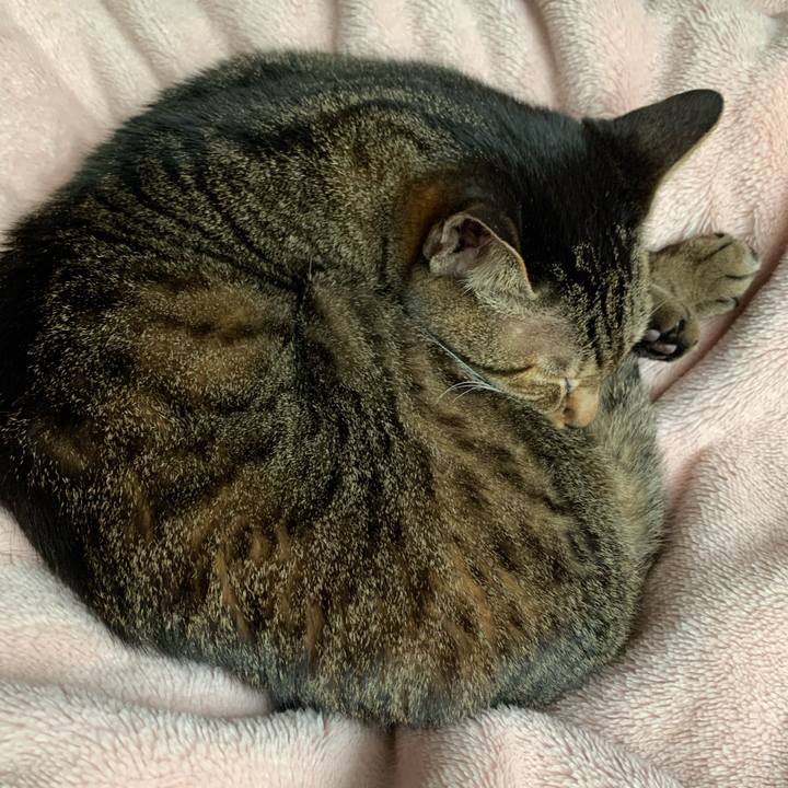 A00395f6 e75d 46ab be44 9d9ecbc5ee68 1587690846749