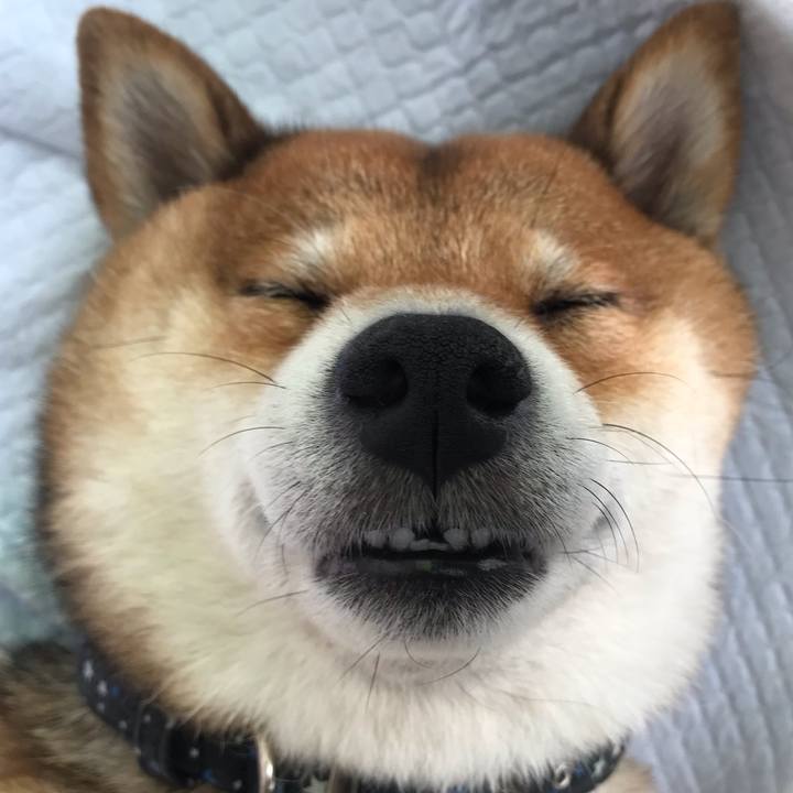 A0040348 3de7 45f5 b901 51828e5928a7 1624889231579