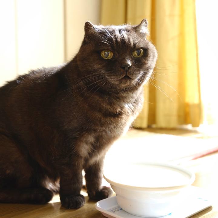 A00406d0 e018 429e a926 8f8da0cf9546 1641552908881