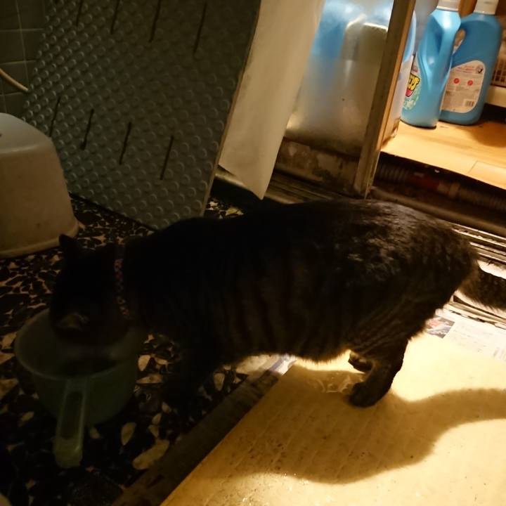 A0040ef5 a739 4b3a bbb9 9057ed146d5f 1642760025847